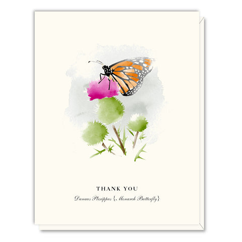 Monarch Butterfly Thank You Card