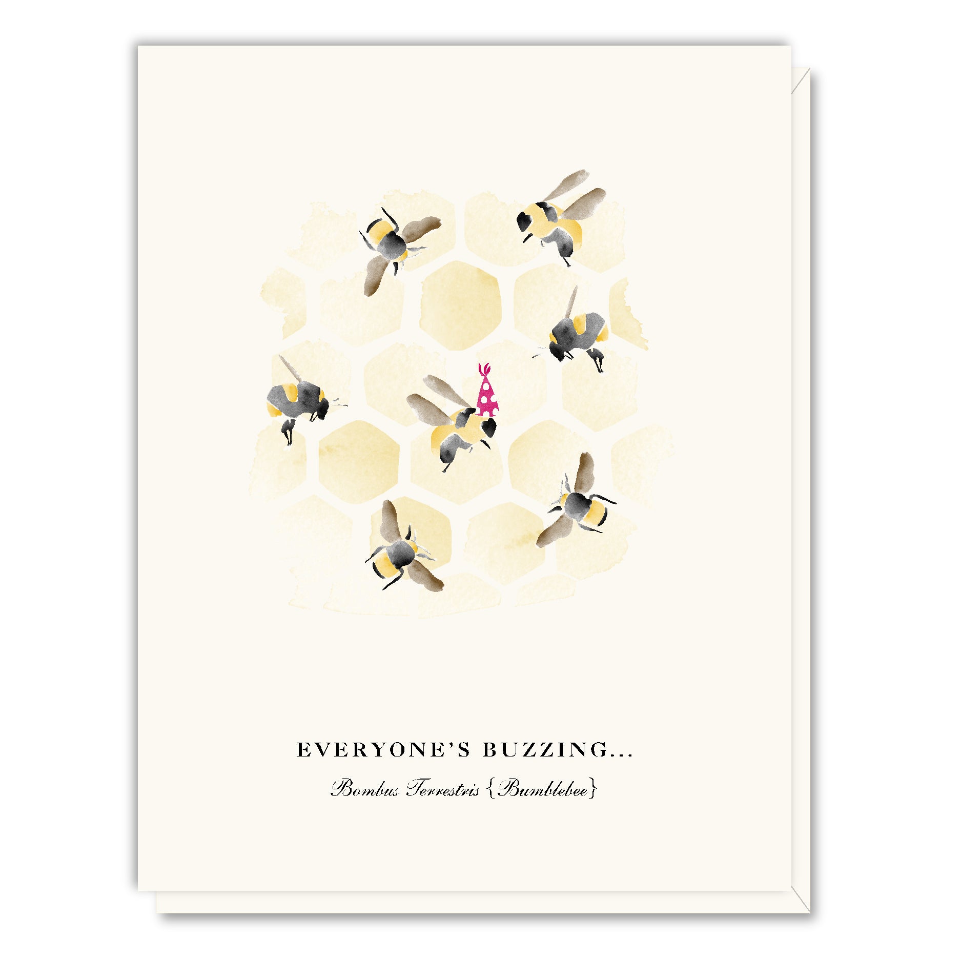 Everyone's Buzzing Birthday Card – Driscoll Design